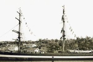PALLAS