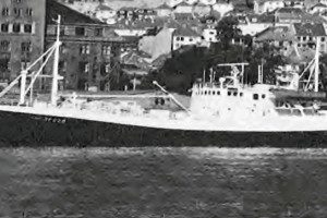 STAR VI