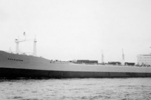 HAVBJØRN