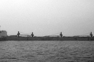 WESTBULK