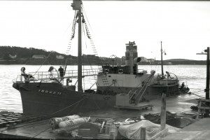 INDUS 11