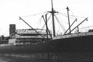 SOUTHERN QUEEN