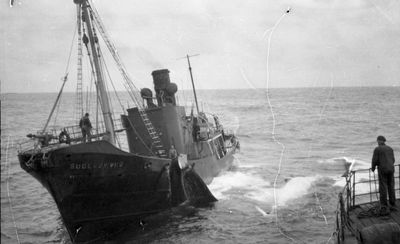 SUDERØY VII (I) (ex FLANDERN)