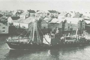 SUDERØY VIII