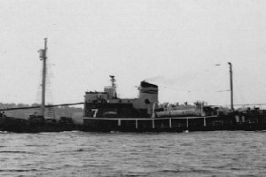 STAR VII