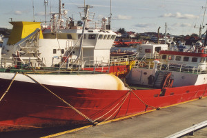TORGNY