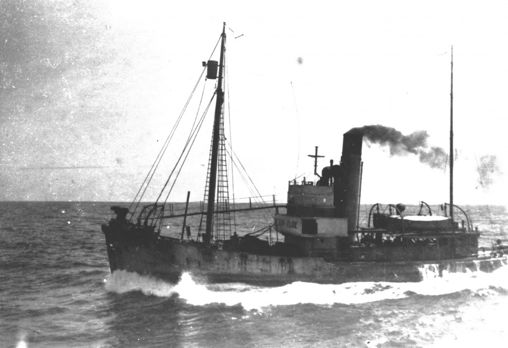 SOUTHERN FLOE