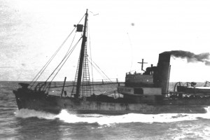 SOUTHERN FLOE
