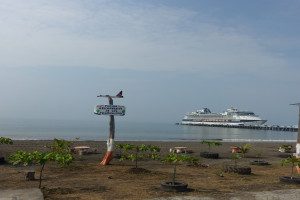 CELEBRITY INFINITY