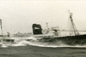 SETTER II