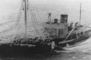 VIKINGEN VI