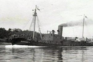SUDERØY IV
