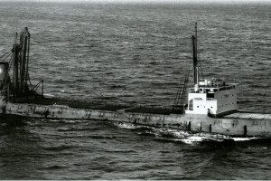 JARMONA (I)