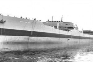 VIKINGEN (II)