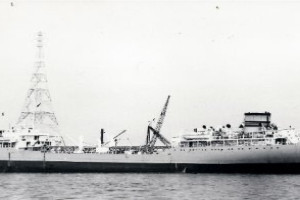 VIKINGEN (II)