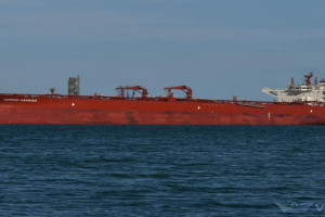 NORDIC HARRIER