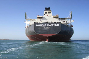 NORDIC HARRIER