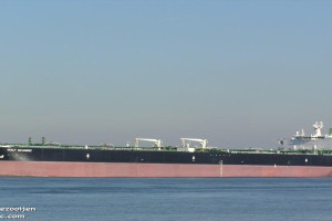 NORDIC HARRIER
