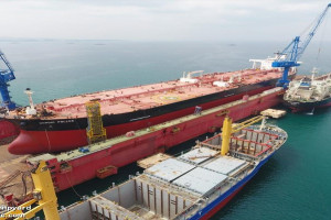 NORDIC POLLUX
