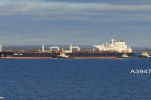 NORDIC VEGA