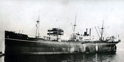 TROPIC SEA (VINDEGGEN)