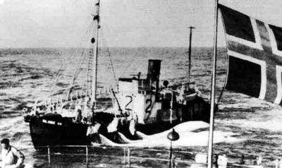 GLOBE VI