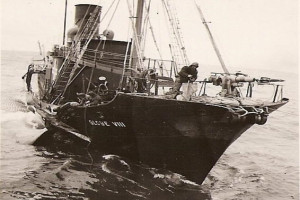 GLOBE VIII