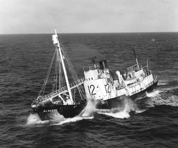GLOBE XII