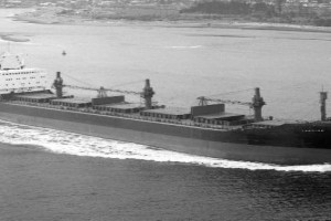 LANCING (IV)