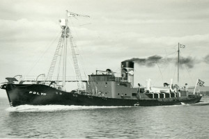 POL VII