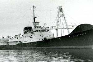 NORTREFF