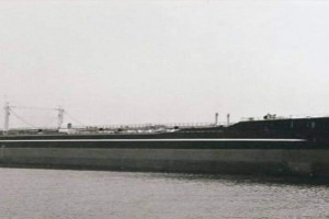 POLARVIK