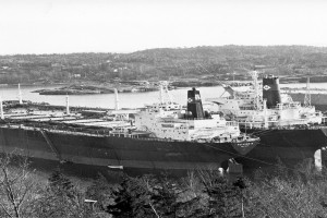 POLARBRIS (II)