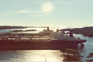 POLARBRIS (II)
