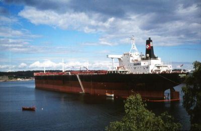 POLARBRIS (II)