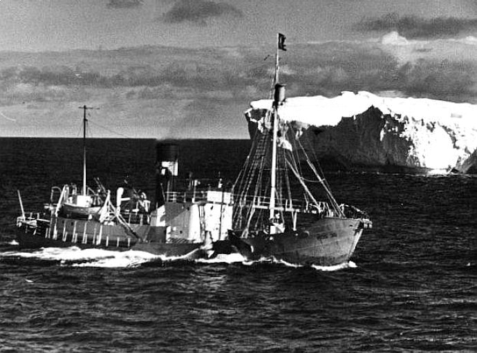 NOR II