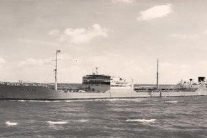 SALSAAS (2)