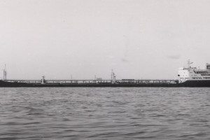 SKOGAAS