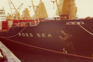 ROSS SEA