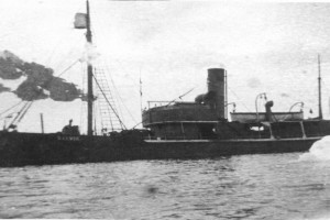 SELVIK