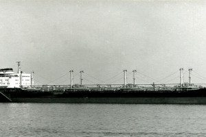 BELMONA