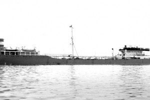 GIERT TORGERSEN