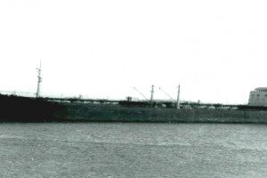 BELMAR (1)