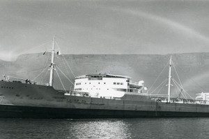 MONTANA (1)