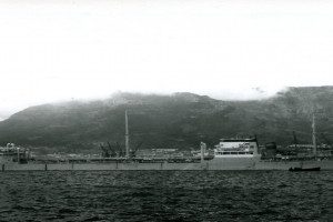 MONTANA (1)