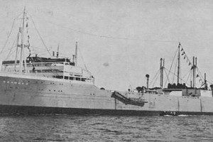 DS/Flk KOSMOS II