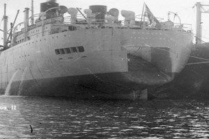 DS/Flk KOSMOS II