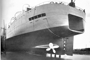 DS/Flk KOSMOS II