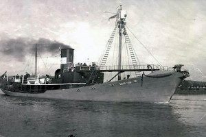 GOS VIII (I)