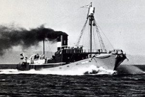 GOS VIII (I)
